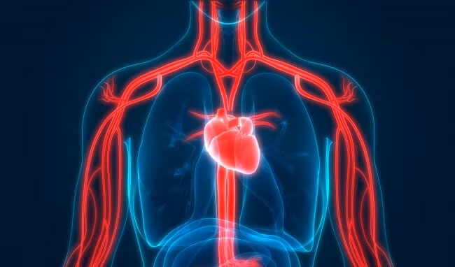 đột quỵ ở người trẻ tuổi