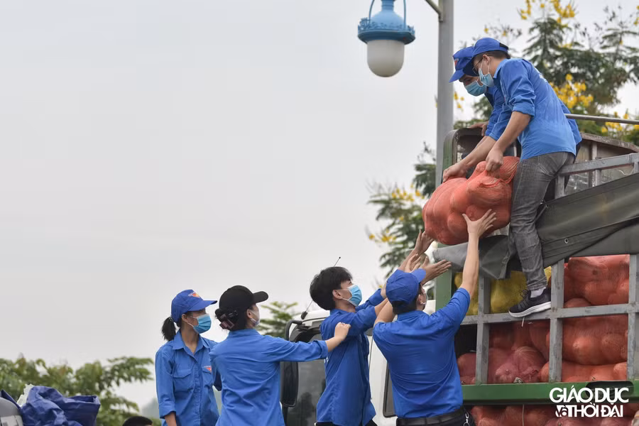 Tuổi trẻ Lào Cai gửi tặng Hà Nội 15 tấn rau, củ, quả chống dịch Covid-19 ảnh 8