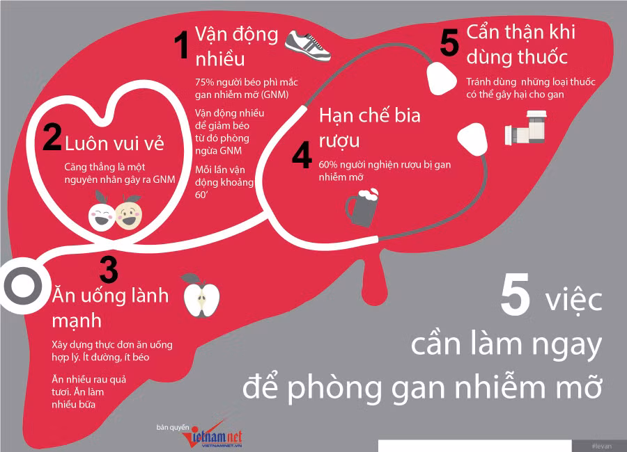 5 việc cần làm ngay để phòng gan nhiễm mỡ