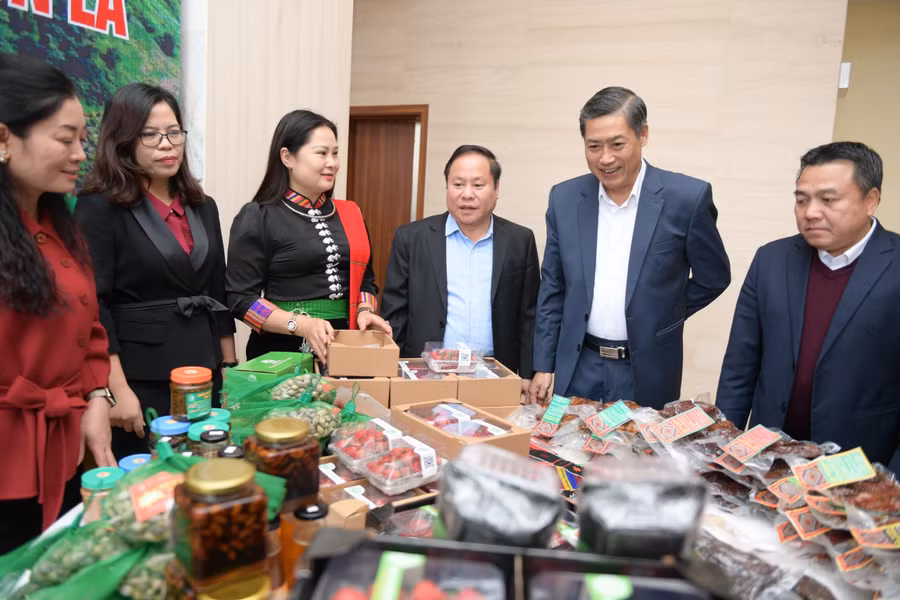 Các địa phương cũng cần có chính sách ưu đãi phát triển ngành nông nghiệp; từ đó thu hút con em địa phương theo học lĩnh vực này.