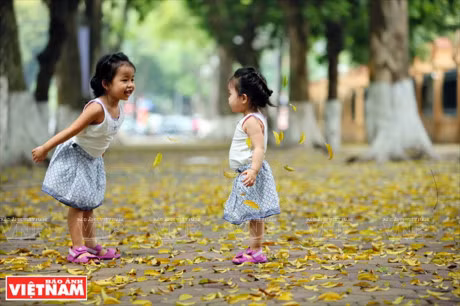 Ha Noi dep diu dang va tho mong trong khoanh khac giao mua - Anh 13