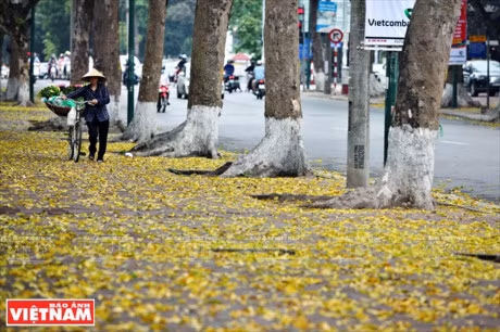 Ha Noi dep diu dang va tho mong trong khoanh khac giao mua - Anh 11