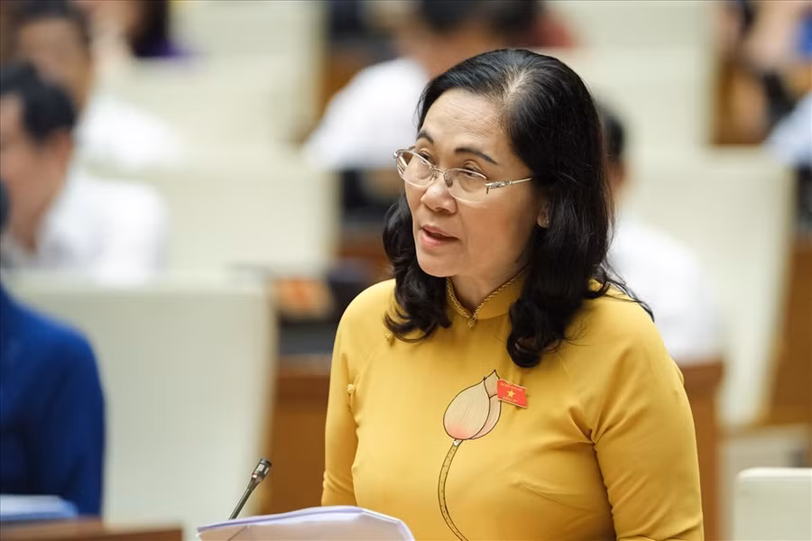 Đại biểu Nguyễn Thị Lệ (Đoàn TP.Hồ Chí Minh).