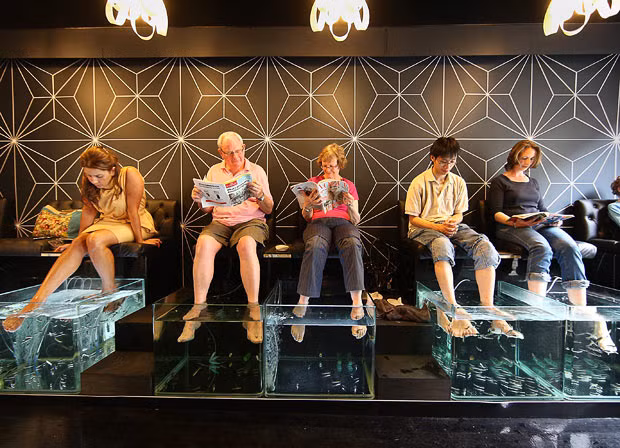 Visitors to the Aqua Sheko fish therapy spa in Kensington, London, have their feet exfoliated by tiny fish.