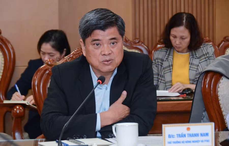 Thứ trưởng Bộ Nông nghiệp và Phát triển Nông thôn Trần Thanh Nam chia sẻ tại buổi làm việc. Thứ trưởng Bộ Nông nghiệp và Phát triển Nông thôn Trần Thanh Nam chia sẻ tại buổi làm việc.