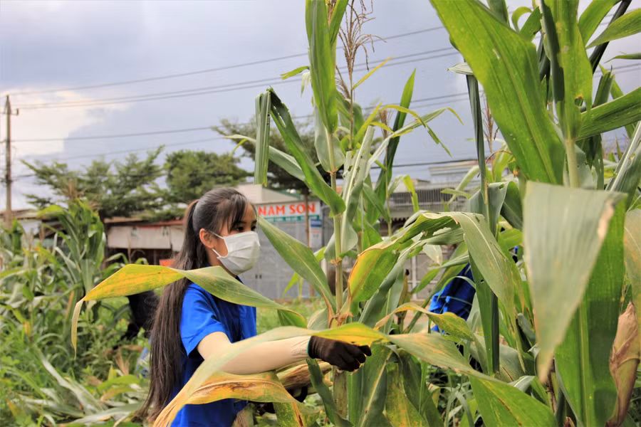 Vừa tốt nghiệp lớp 12 xong, Trần Vũ Kiều Trinh đã nhiệt tình tham gia đội thanh niên tình nguyện hỗ trợ người dân lúc khó khăn.