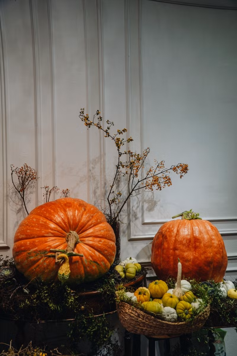 Bí ngô khổng lồ "made in Việt Nam" giá hàng triệu đồng hút khách mùa Halloween ảnh 11