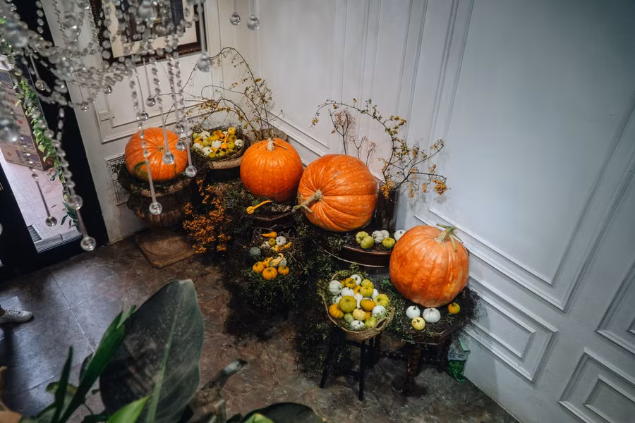 Bí ngô khổng lồ "made in Việt Nam" giá hàng triệu đồng hút khách mùa Halloween ảnh 7