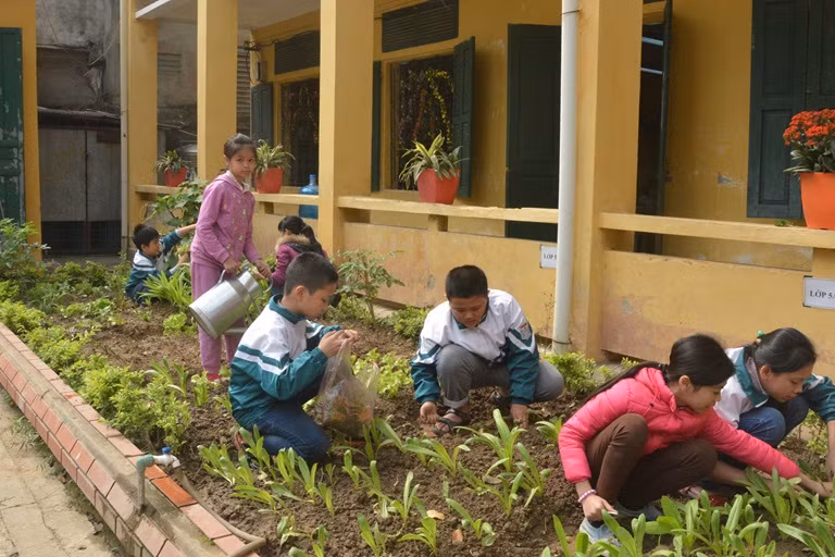 Rèn kỹ năng sống cho học sinh thông qua các hoạt động trải nghiệm