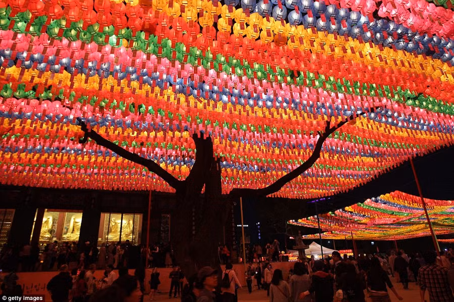 South Korean Buddhists walk under colourful lanterns as they celebrate the forthcoming birthday of Buddha at Chogey temple in Seoul Read more: http://www.dailymail.co.uk/news/article-2323047/South-Korea-lit-sea-lanterns-Seoul-prepares-mark-Buddha-s-birthday.html#ixzz2T5VCAma0 Follow us: @MailOnline on Twitter | DailyMail on Facebook