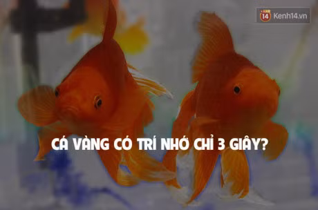 7 su that doi thuong sai bet nhung ai cung cho la dung - Anh 8