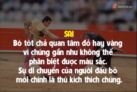 7 su that doi thuong sai bet nhung ai cung cho la dung - Anh 3