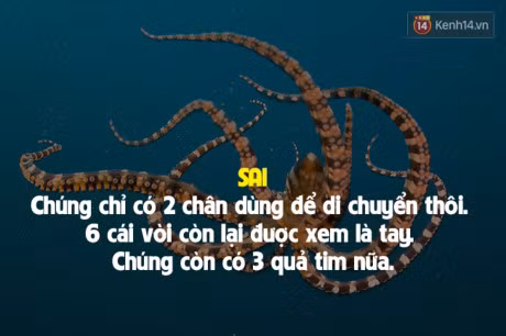 7 su that doi thuong sai bet nhung ai cung cho la dung - Anh 5