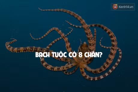 7 su that doi thuong sai bet nhung ai cung cho la dung - Anh 6
