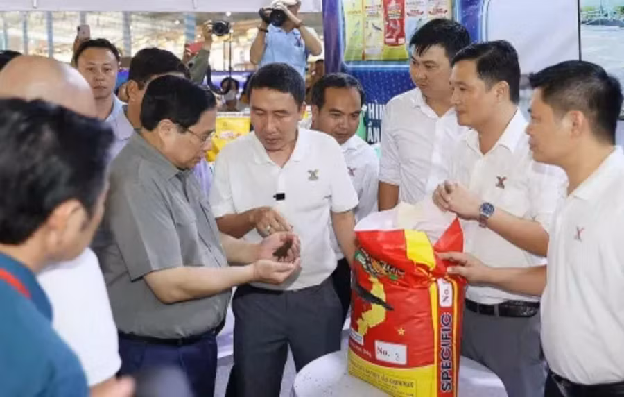 Ông Mai Văn Hoàng, Tổng Giám đốc Tập đoàn GrowMax thông tin về hoạt động của GrowMax với Thủ tướng.