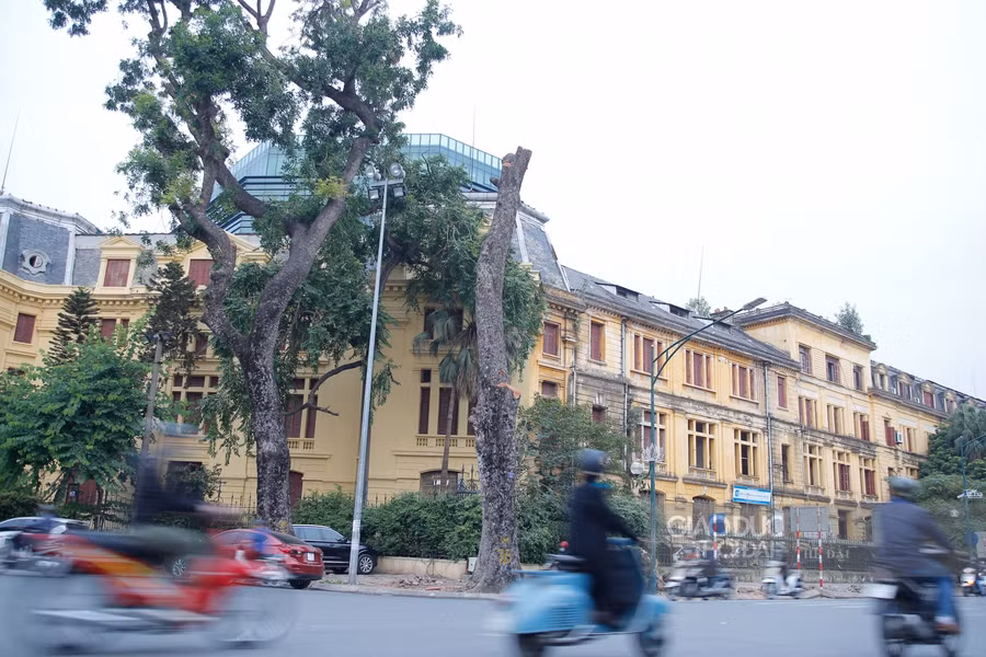 Hà Nội: Di chuyển, chặt hạ 40 cây xanh trên phố Trần Hưng Đạo ảnh 2