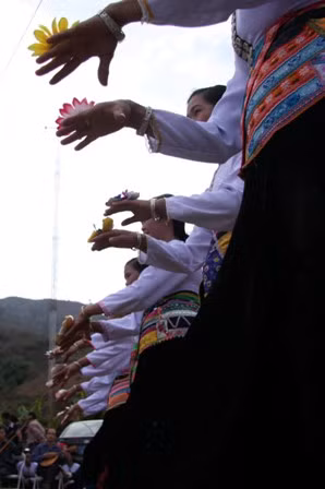 Múa hoa ban