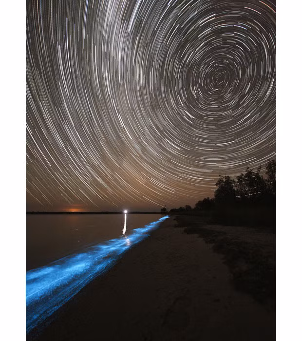 Những hình ảnh ấn tượng trong tuần ảnh 2 Phil left his camera on a tripod, and used a long, timed exposure, which captures the trail of the stars as well as the glowing blue of the water.