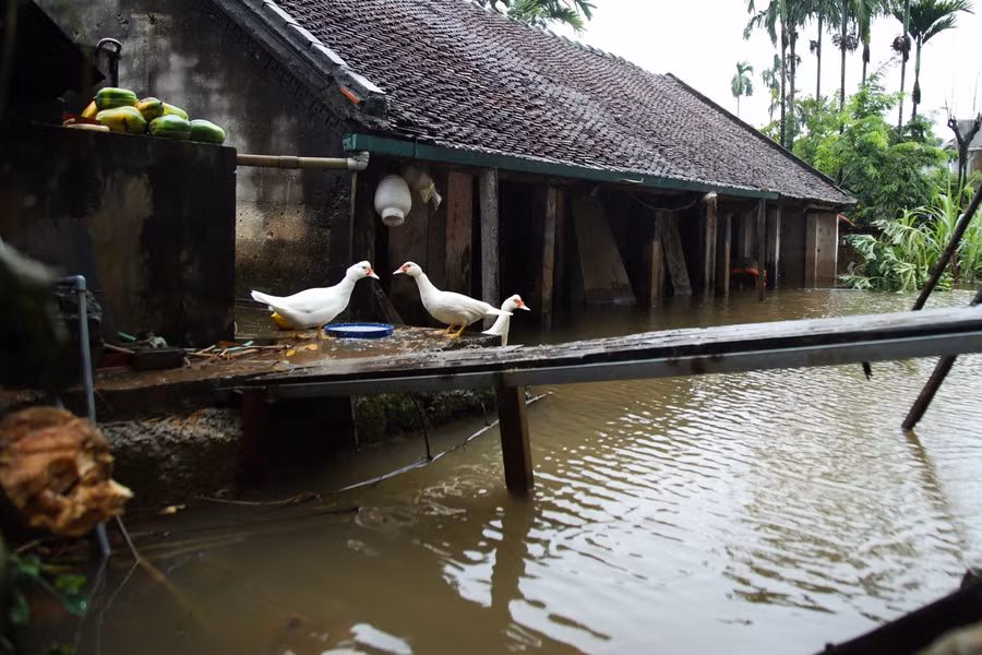 Chị Nguyễn Thị Lý (48 tuổi) cho biết:"Nước ngập đã 5 ngày hôm nay rồi, lúc sáng bắt đầu có hiện tượng rút. Tuy nhiên, từ khoảng 13h nước lại bắt đầu dâng cao hơn".