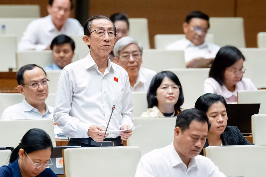 Đại biểu Trần Hoàng Ngân (Đoàn ĐBQH TPHCM).