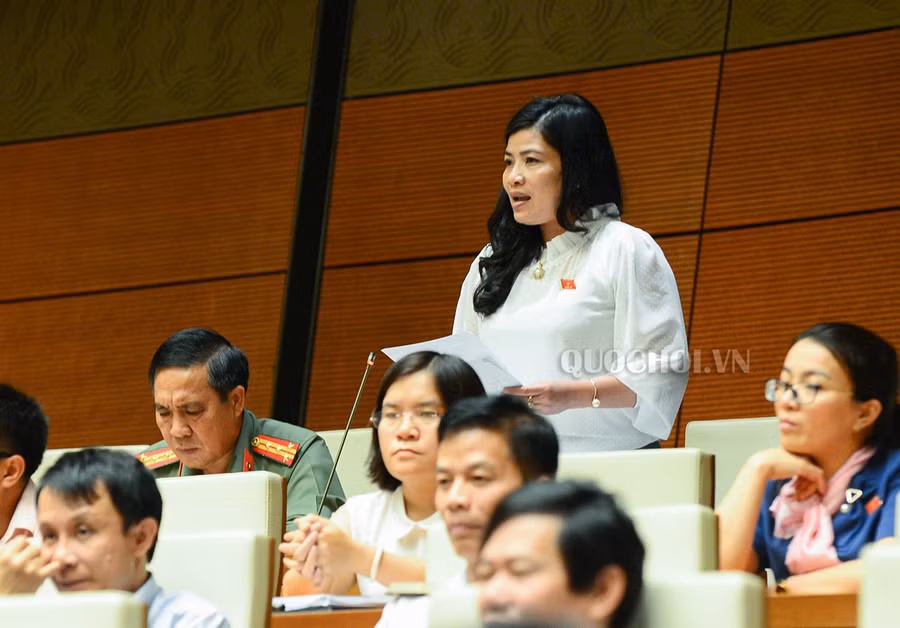 Đại biểu Đàng Thị Mỹ Hương