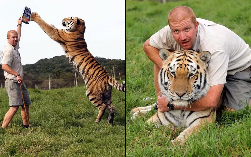 Ashley Gombert interacts with Shosho, a 250kg male tiger, at the Seaview Lion Park in Port Elizabeth, South Africa