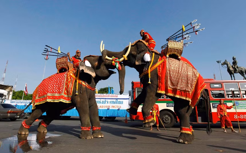 Ngày Quốc tế lao động trên khắp thế giới ảnh 4 Elephants perform during a May Day rally at the Royal Plaza in Bangkok