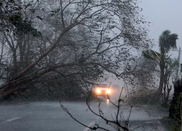 Lụt lội ở Philippines, Thái Lan và Việt Nam trước sức mạnh của Megi ảnh 14 Vehicles try to pass through a fallen tree at Cauayan, Isabela province in northeastern Philippines