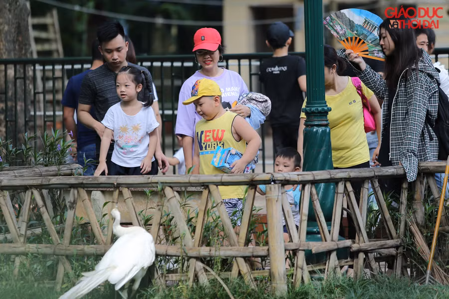 Chọn một vị trí thoáng đãng để con em mình thoải mái vui chơi.