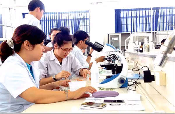 Công cuộc tự chủ, đổi mới GDĐH là một quá trình liên tục, không phải một đích đến nhất thời. Ảnh minh họa/internet