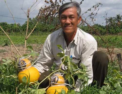 "Hàng độc" trưng Tết chuẩn bị ra lò