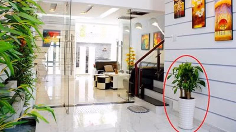 Cuối năm Canh Tý, nhớ làm 4 điều này khi dọn nhà để mang lại phúc lộc dồi dào - Ảnh 2. Cuối năm Canh Tý, nhớ làm 4 điều này khi dọn nhà để mang lại phúc lộc dồi dào - Ảnh 2.
