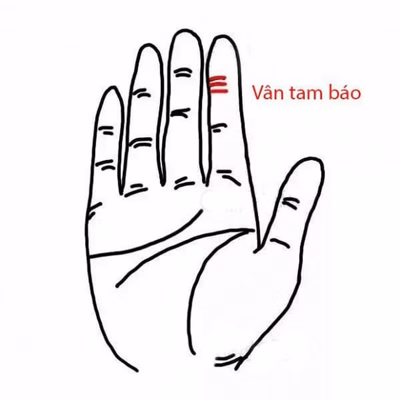 Phụ nữ sở hữu 4 kiểu vân tay này có số mệnh an nhàn, cuộc sống giàu sang, sung túc - Ảnh 4.