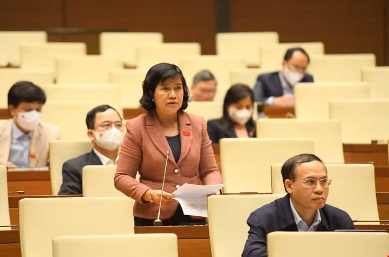 Đại biểu Nguyễn Thị Lệ Thủy