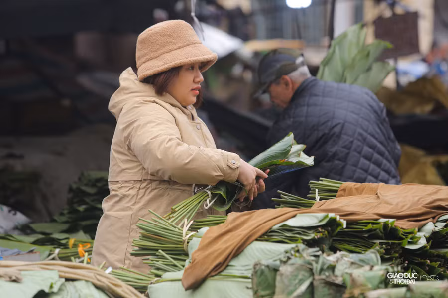 Chợ Trần Quý Cáp cung cấp các loại lá dong đủ các kích thước từ nhỏ đến lớn nhằm đáp ứng nhu cầu khác nhau của khách hàng.