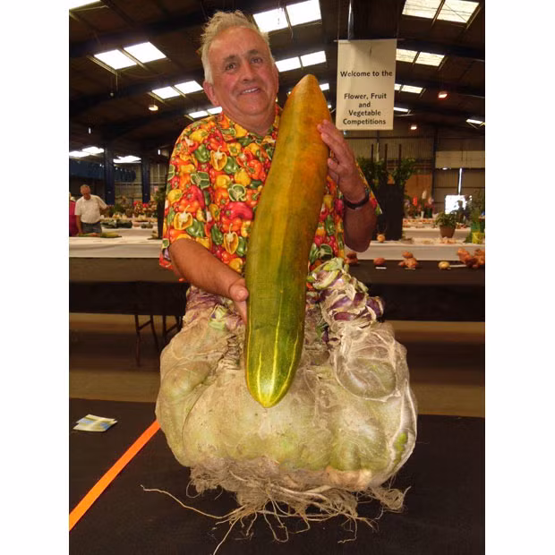 Ian Neale holds what he hopes is a record breaking cucumber which he grew. The 107cm (42.12