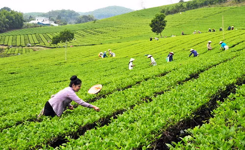 Chính phủ yêu cầu các bộ, ngành, địa phương phải chủ động, linh hoạt hơn nữa trong điều hành, nỗ lực phấn đấu hoàn thành mục tiêu năm 2017. Ảnh minh họa/internet