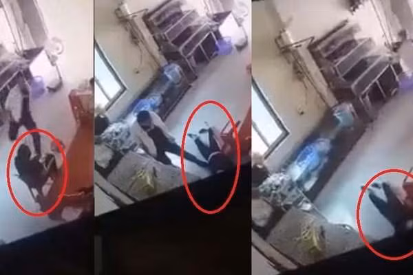 Hình ảnh Cấn Ngọc Phán hành hung dã man 1 người phụ nữ được camera ghi lại.