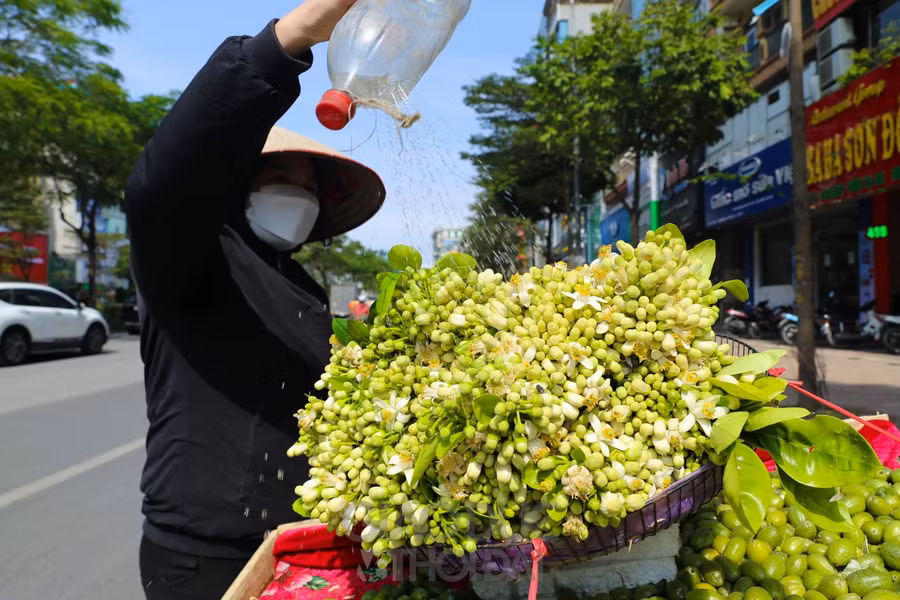 Hà Nội mùa hoa bưởi về trên phố ảnh 13