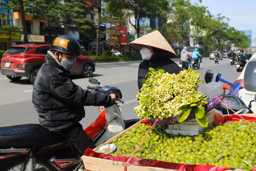 Hà Nội mùa hoa bưởi về trên phố ảnh 14
