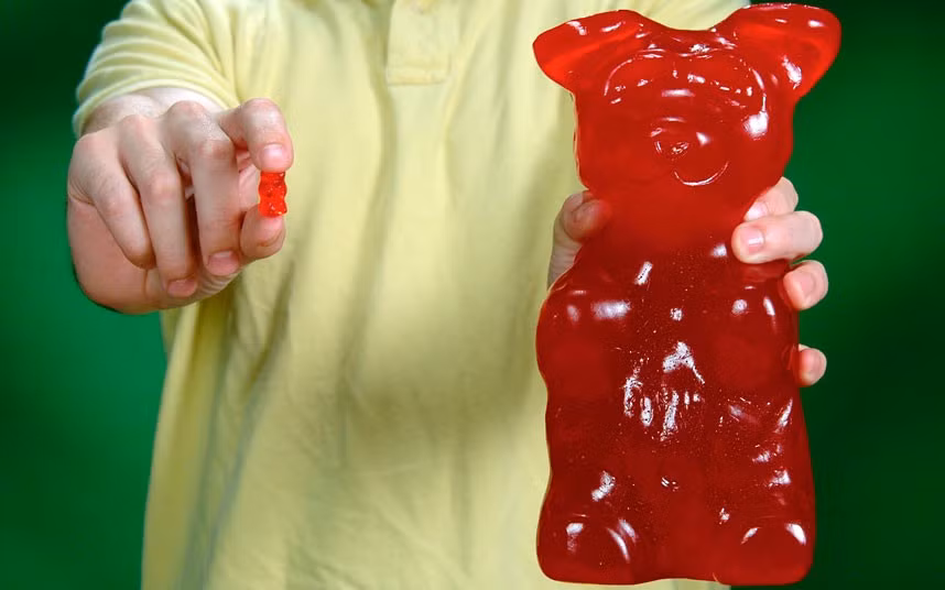 A man shows off the world’s largest gummy bear, which is 1,400 times the size of the ordinary sweet. The giant gummy bear, which weighs about five pounds, was produced by gift retailer Vat19 and costs about £20.