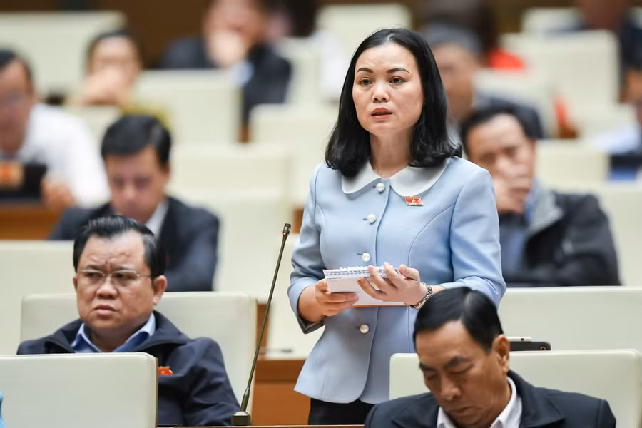 Đại biểu Huỳnh Thị Phúc - Đoàn ĐBQH tỉnh Bà Rịa - Vũng Tàu.