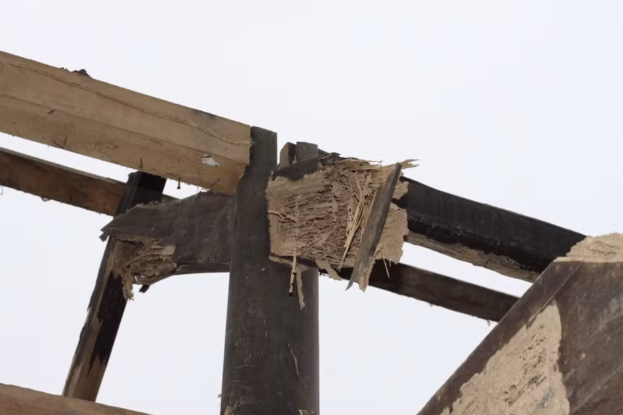 Ngôi nhà của 3 anh em Khang, Long và Giang đã phải tháo dỡ do bị mối mọt làm gãy đổ.
