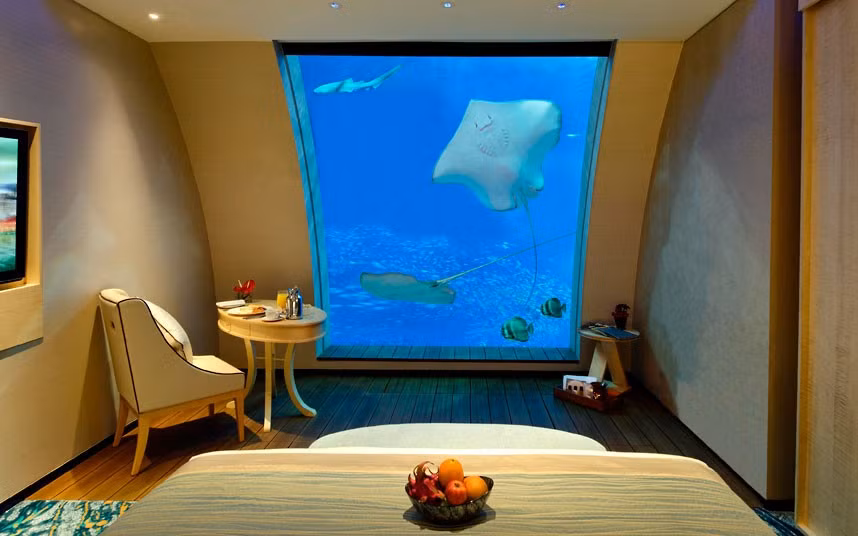 Stingrays and sharks swim by as seen through the window view of a room in the Ocean Suites at the oceanarium in Resorts World Sentosa in Singapore. The hotel offers 11 two-storey guest suites that are located along one side of the SEA Aquarium, featuring a view of over 70 marine species through a viewing panel in the bedrooms. Room rates are around £1,200 a night. 