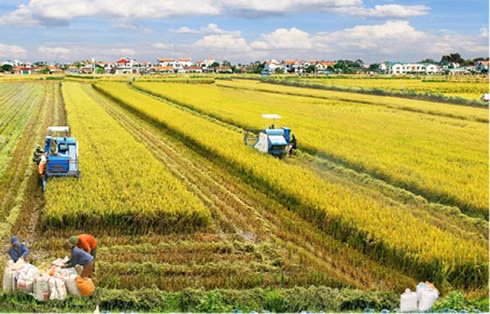 Điều chỉnh một số nội dung Chương trình MTQG xây dựng nông thôn mới