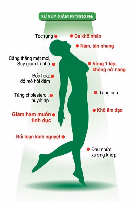 Suy giảm estrogen gây ra hàng loạt vấn đề
