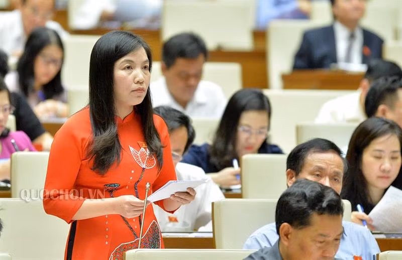 Đại biểu Phạm Thị Thanh Thủy Đại biểu Phạm Thị Thanh Thủy