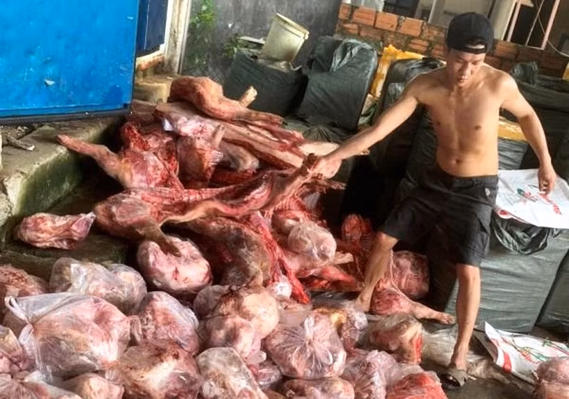Có mẫu thịt nhiễm vi khuẩn E.coli cao nhất vượt 60 lần mức cho phép.