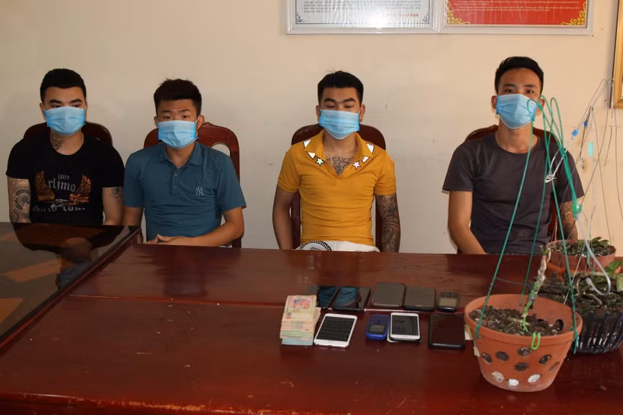 Các đối tượng có hành vi lừa bán lan đột biến chiếm đoạt nhiều tỷ đồng. Ảnh: Công an Hà Nam.