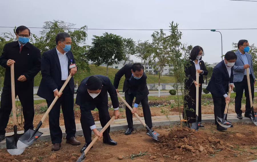 Các đại biểu trồng tre, trúc tại khu vực bảo tồn loài cây này của Học viện Nông nghiệp Việt Nam